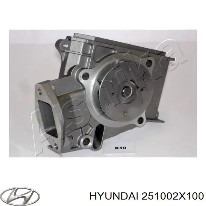Motor de agua Hyundai/Kia 251002X100