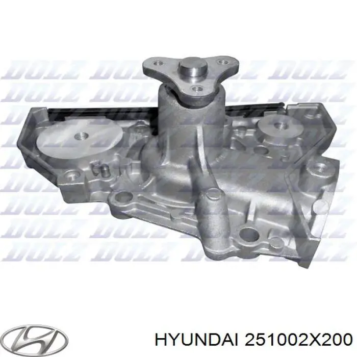 Bombeadora de agua Hyundai/Kia 251002X200 precio, desde 47,54 EUR