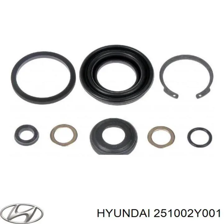 Bomba de agua 251002Y001 Hyundai/Kia