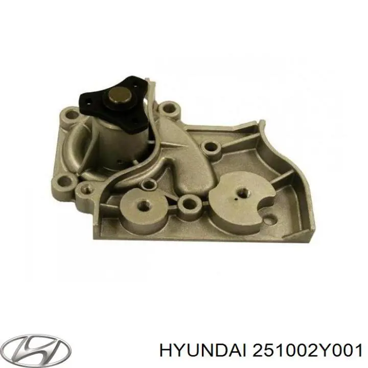 Bombeadora de agua Hyundai/Kia 251002Y001 precio, desde 52,97 EUR