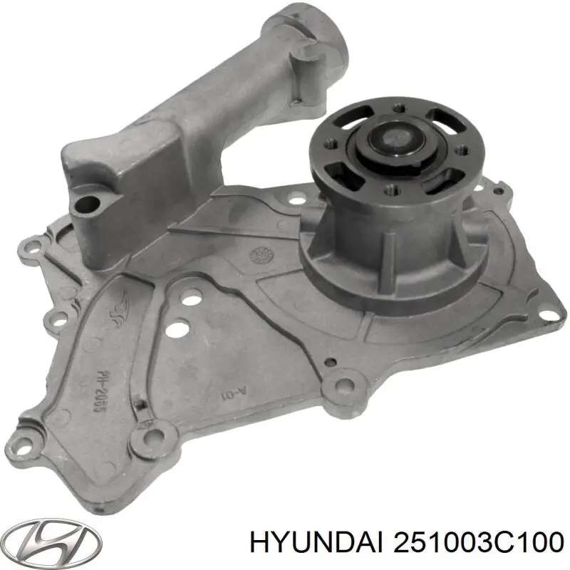 Bomba de agua 251003C100 Hyundai/Kia