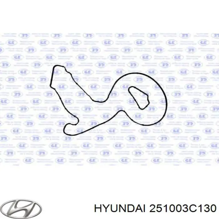 Bomba de agua 251003C130 Hyundai/Kia