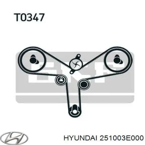 Motor de agua Hyundai/Kia 251003E000
