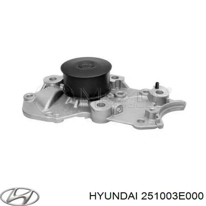 251003E000 Hyundai/Kia bomba de agua