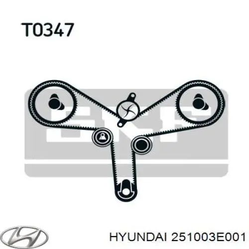 Bomba de agua 251003E001 Hyundai/Kia