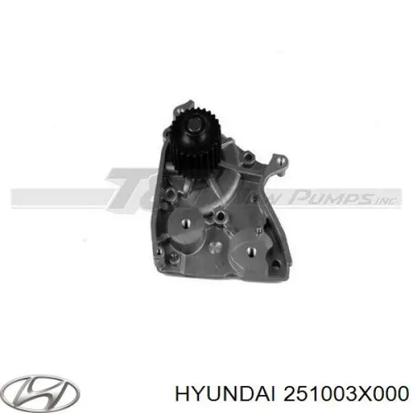 Bombeadora de agua Hyundai/Kia 251003X000 precio, desde 38,43 EUR