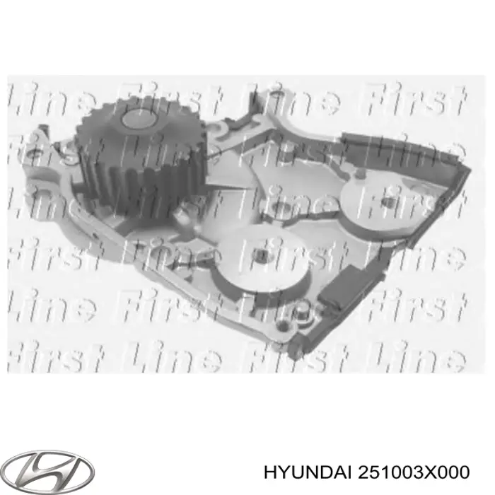 Motor de agua Hyundai/Kia 251003X000