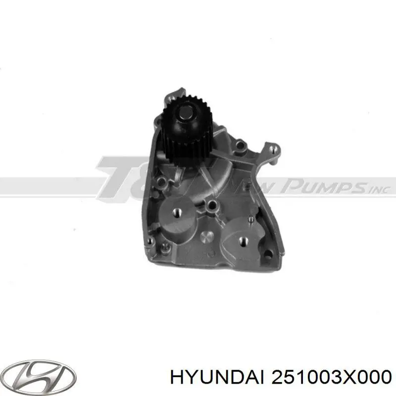 Bomba de agua 251003X000 Hyundai/Kia