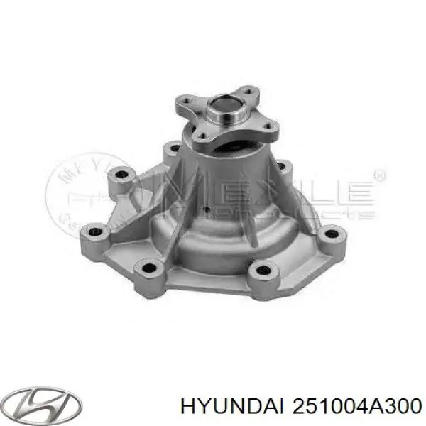 Bomba de agua 251004A300 Hyundai/Kia