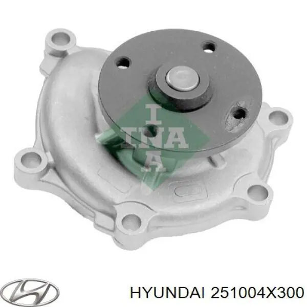 251004X300 Hyundai/Kia bomba de agua