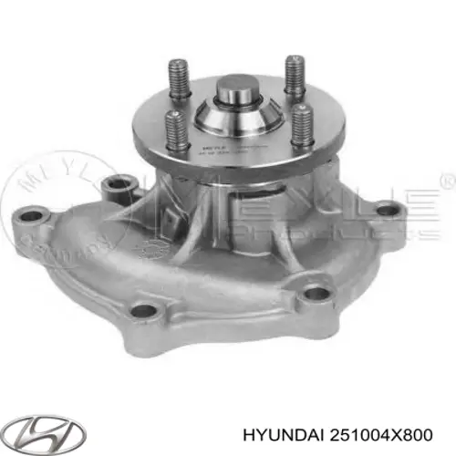 Motor de agua Hyundai/Kia 251004X800