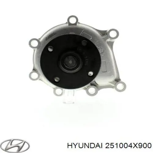 Bombeadora de agua Hyundai/Kia 251004X900 precio, desde 64,11 EUR