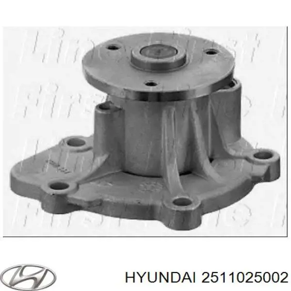 Bomba de agua 2511025002 Hyundai/Kia