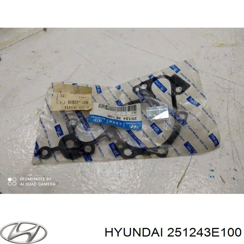 Junta, bomba de agua para Hyundai Santa Fe (CM)