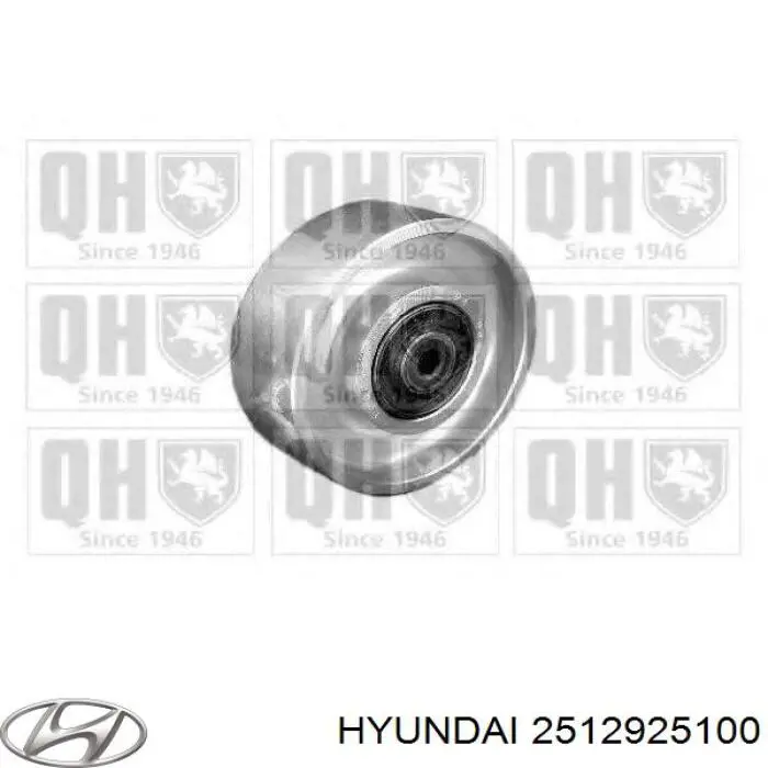 Polea bomda de agua Hyundai/Kia 2512925100