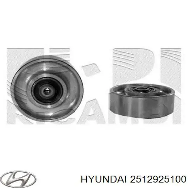 2512925100 Hyundai/Kia Polea de la bomba de agua