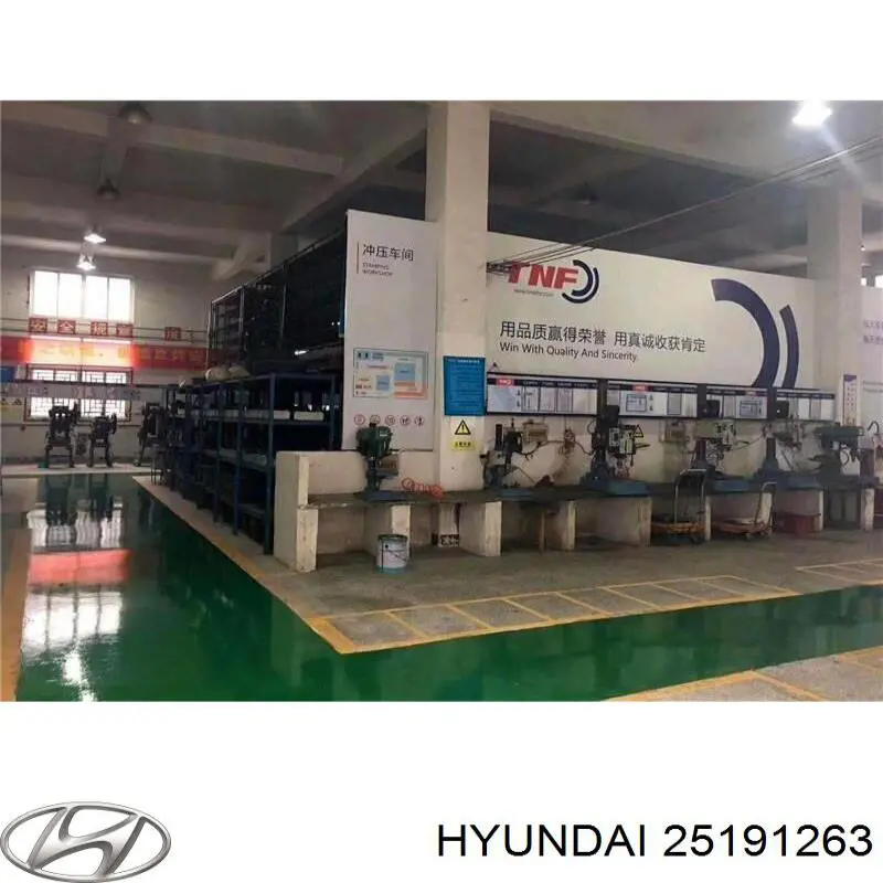 25191263 Hyundai/Kia rodillo intermedio de correa dentada