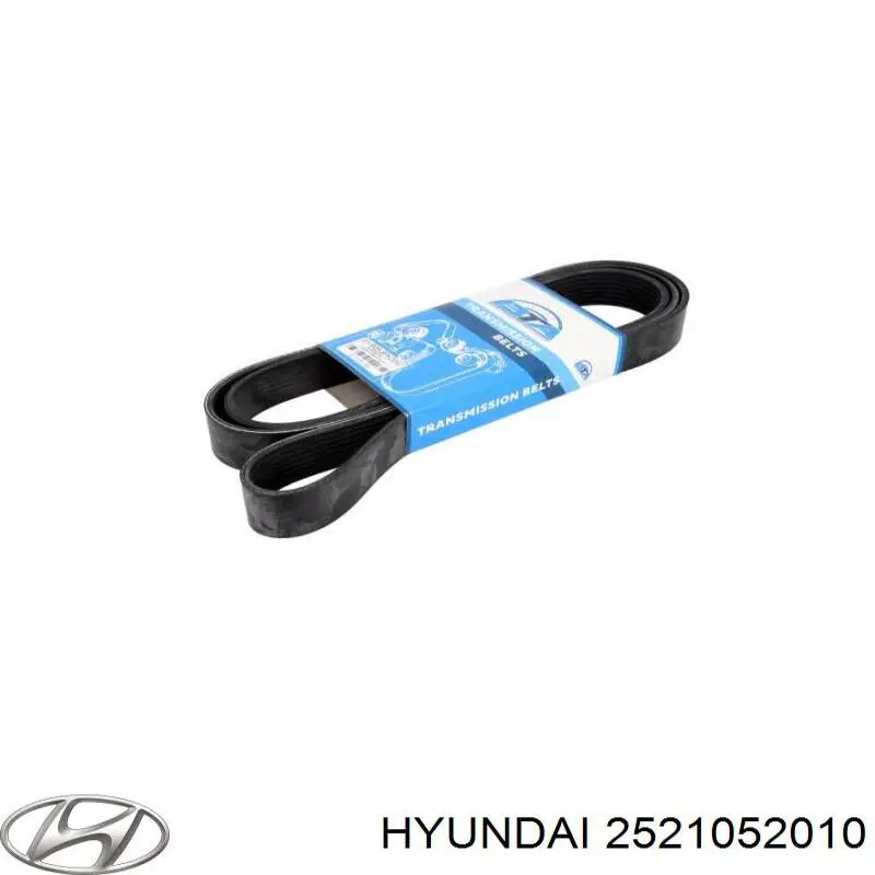 2521052010 Hyundai/Kia correa trapezoidal