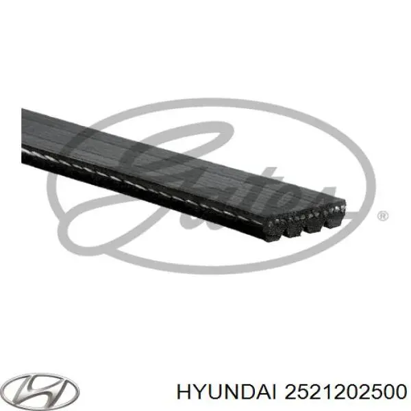 Correa de alternador 2521202500 Hyundai/Kia
