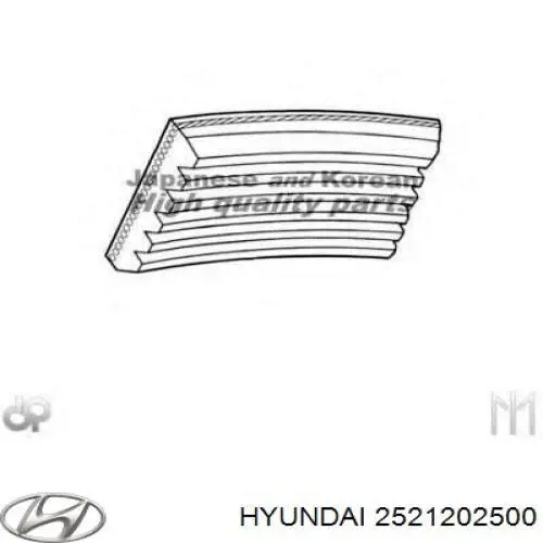 2521202500 Hyundai/Kia correa trapezoidal