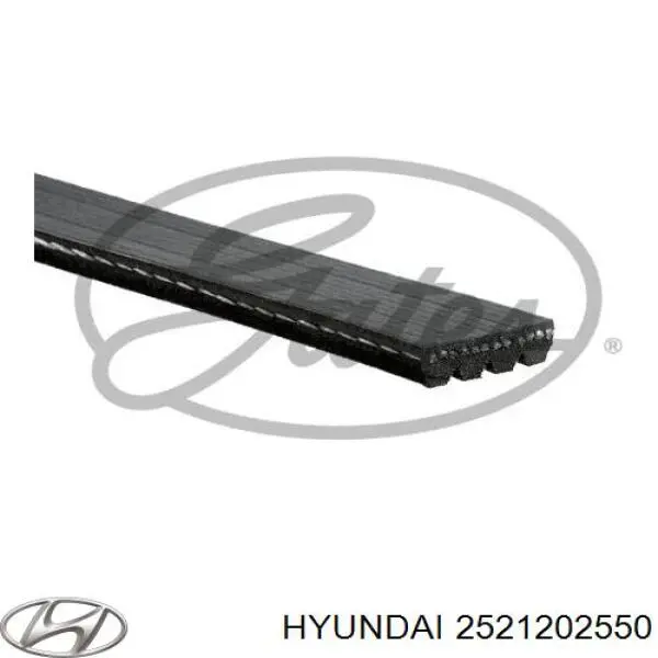 Comprar 2521202550 Hyundai/Kia Correa trapezoidal