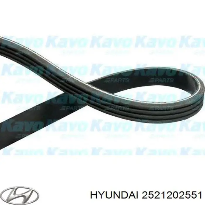 2521202551 Hyundai/Kia correa trapezoidal