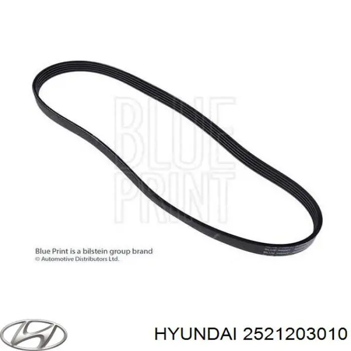 Comprar 2521203010 Hyundai/Kia Correa trapezoidal