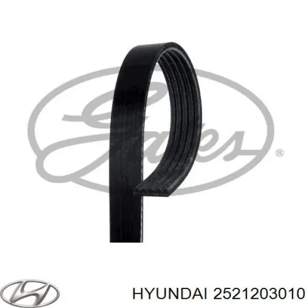2521203010 Hyundai/Kia correa trapezoidal
