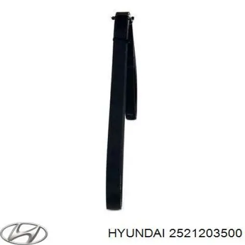 2521203500 Hyundai/Kia correa trapezoidal