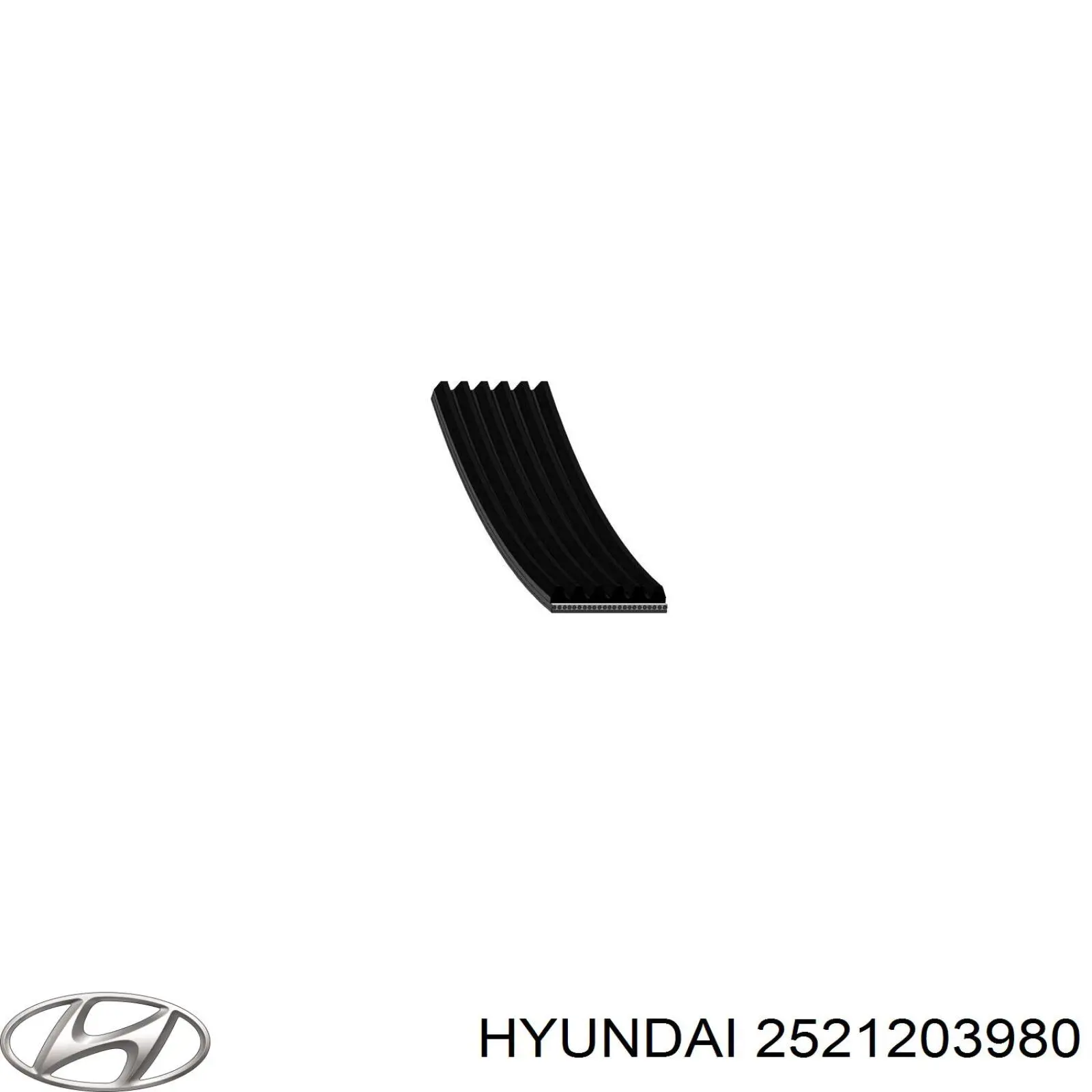 2521203980 Hyundai/Kia correa trapezoidal