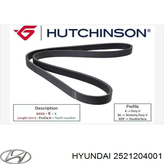 2521204001 Hyundai/Kia correa trapezoidal