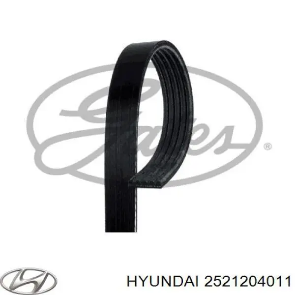 2521204011 Hyundai/Kia correa trapezoidal