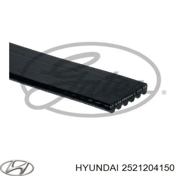 Correa de alternador 2521204150 Hyundai/Kia
