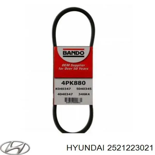 2521223021 Hyundai/Kia correa trapezoidal