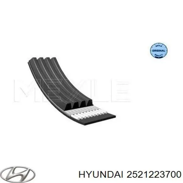 2521223700 Hyundai/Kia correa trapezoidal