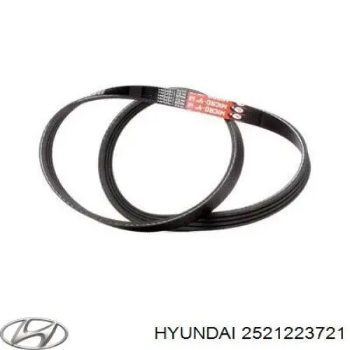 2521223721 Hyundai/Kia correa trapezoidal