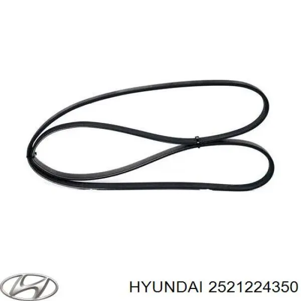 2521224350 Hyundai/Kia Correa poly v