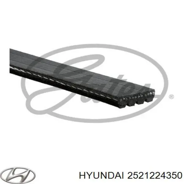 Correa de transmisión trapezoidal Hyundai/Kia 2521224350 precio, desde 15,57 EUR