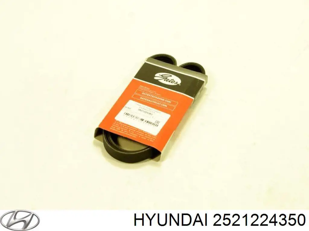 Correa de alternador 2521224350 Hyundai/Kia