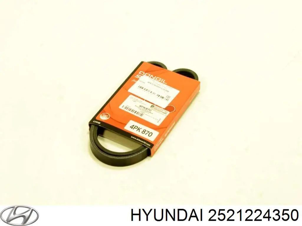 Correa accesorios Hyundai/Kia 2521224350
