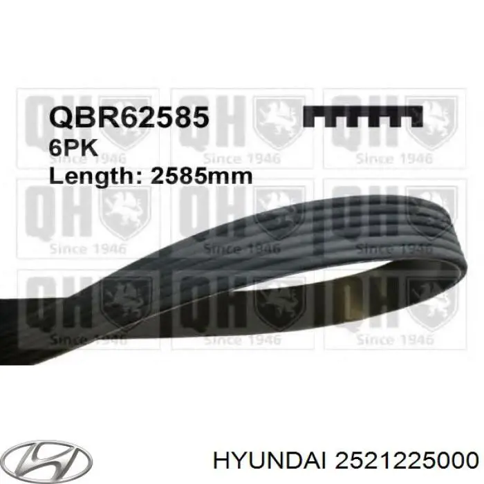 Correa accesorios Hyundai/Kia 2521225000