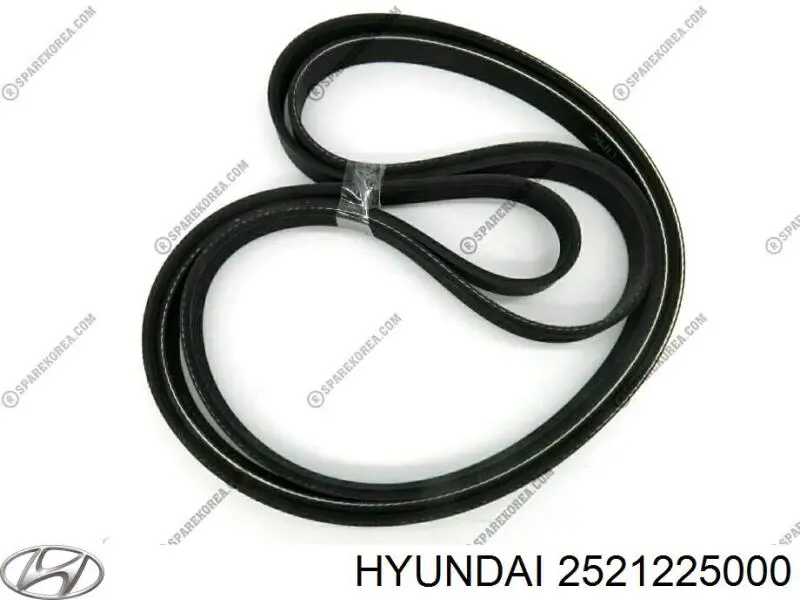 2521225000 Hyundai/Kia Correa poly v