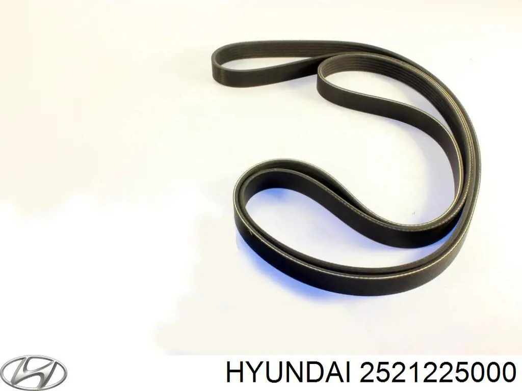 2521225000 Hyundai/Kia correa trapezoidal