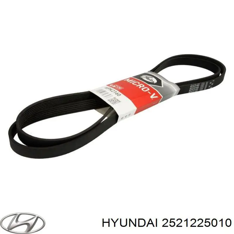 2521225010 Hyundai/Kia Correa poly v