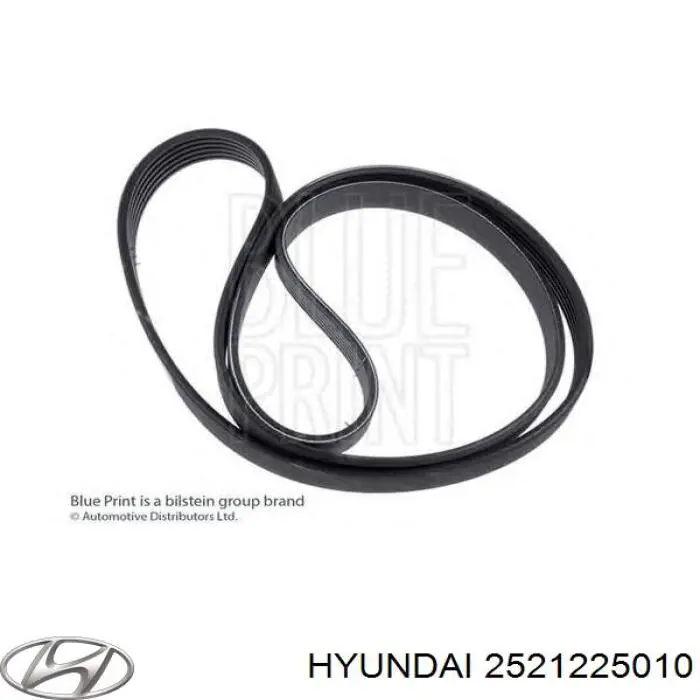 Correa de transmisión trapezoidal Hyundai/Kia 2521225010 precio, desde 18,69 EUR