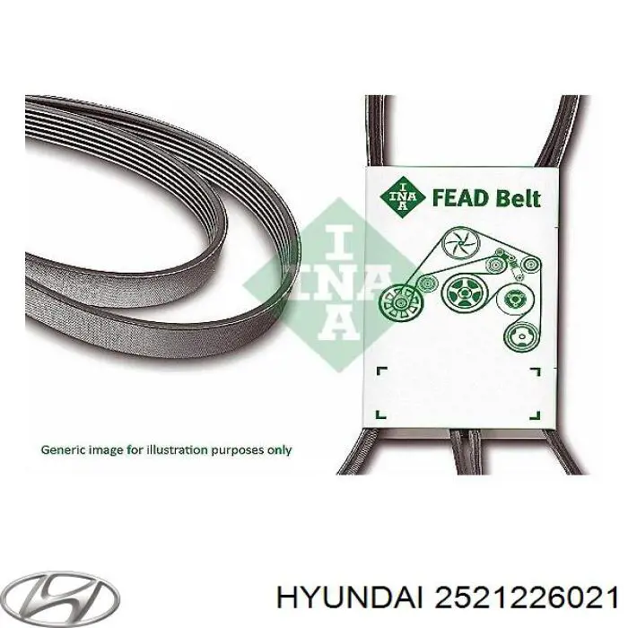 Correa de transmisión trapezoidal Hyundai/Kia 2521226021 precio, desde 8,59 EUR