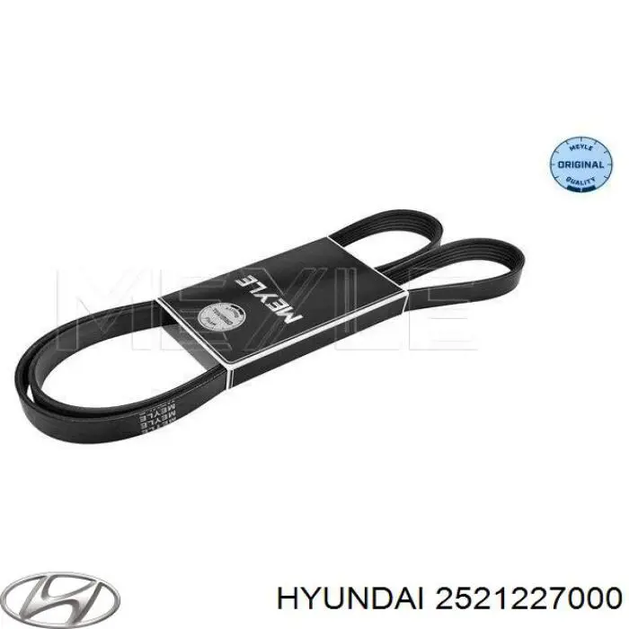 2521227000 Hyundai/Kia correa trapezoidal