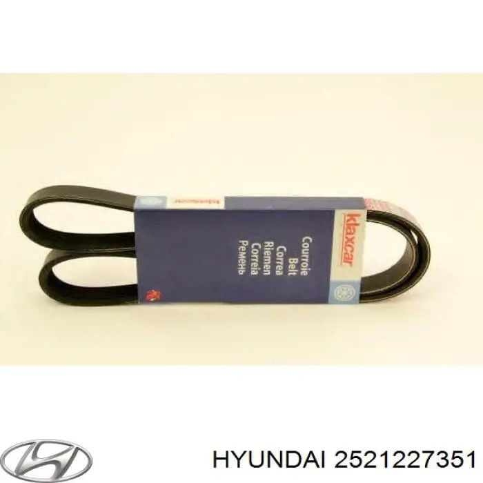 2521227351 Hyundai/Kia correa trapezoidal