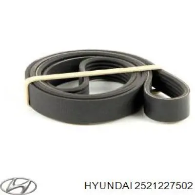 Correa accesorios Hyundai/Kia 2521227502