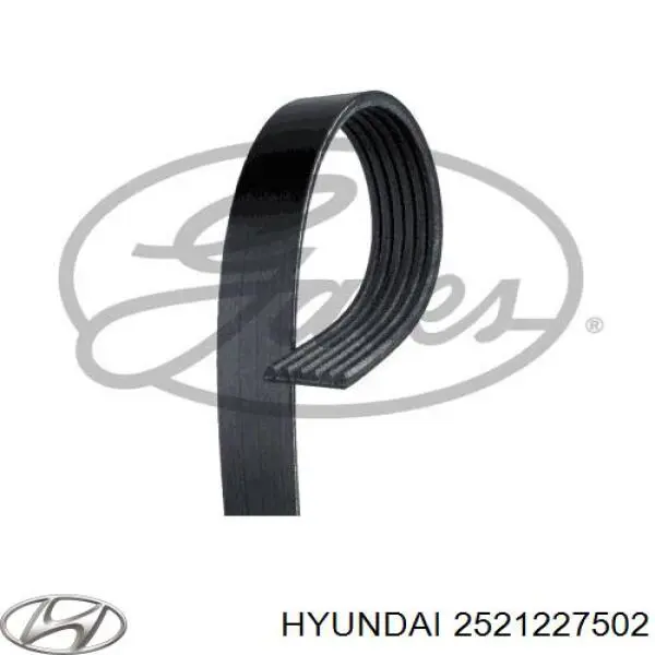 Correa de transmisión trapezoidal Hyundai/Kia 2521227502 precio, desde 20,13 EUR